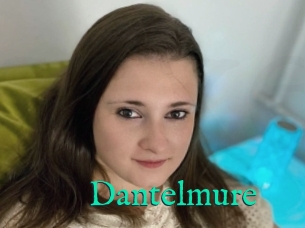 Dantelmure