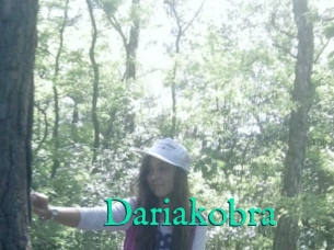 Dariakobra