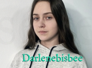 Darlenebisbee