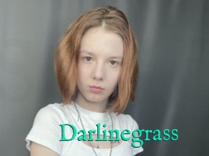 Darlinegrass