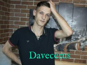 Davecerus