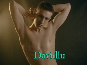 Davidlu