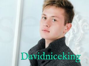 Davidniceking