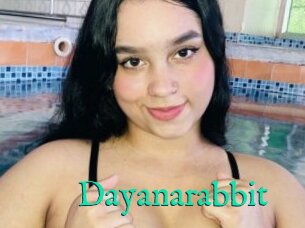 Dayanarabbit