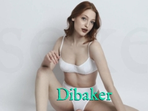 Dibaker