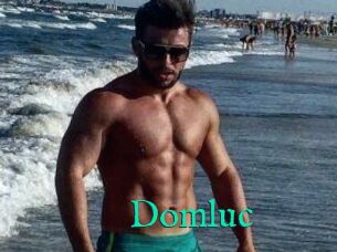 Domluc