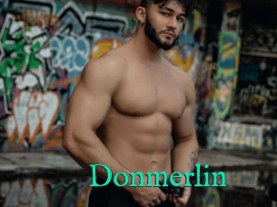 Donmerlin