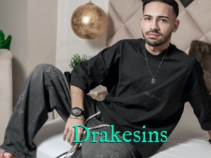 Drakesins