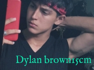 Dylan_brown15cm