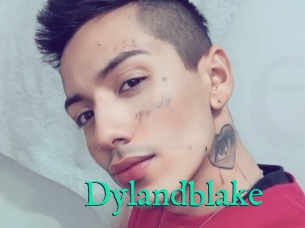 Dylandblake