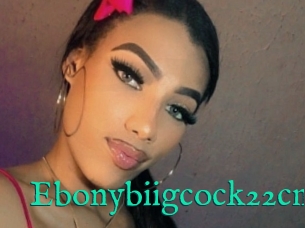 Ebonybiigcock22cm