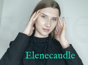 Elenecaudle