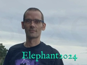 Elephant2024