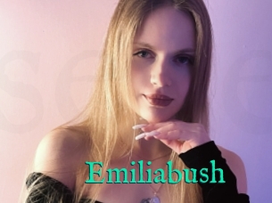 Emiliabush