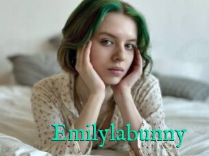 Emilylabunny