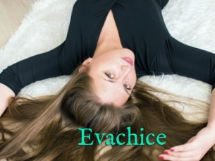 Evachice