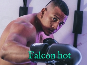 Falcon_hot