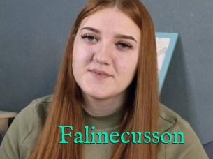 Falinecusson