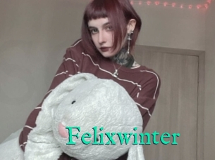 Felixwinter