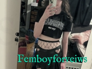 Femboyforveiws