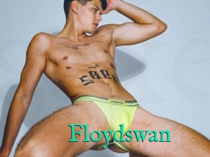 Floydswan
