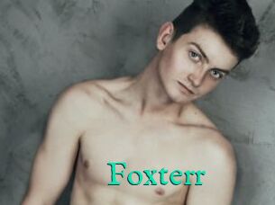 Foxterr