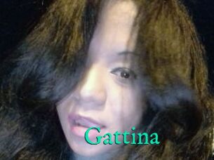 Gattina