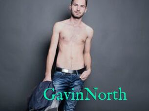 GavinNorth