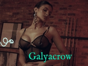 Galyacrow