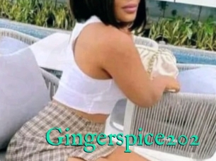 Gingerspice202