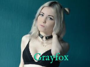 Grayfox