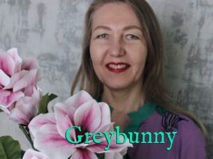 Greybunny