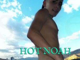 HOT_NOAH