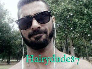 Hairydude87