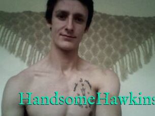 HandsomeHawkins