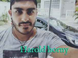 Harold_horny