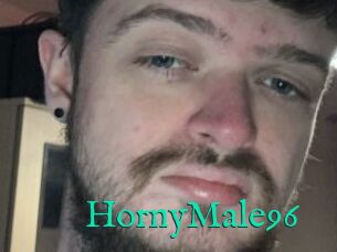 HornyMale96