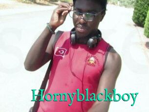 Hornyblackboy