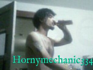 Hornymechanic334