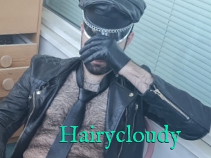 Hairycloudy