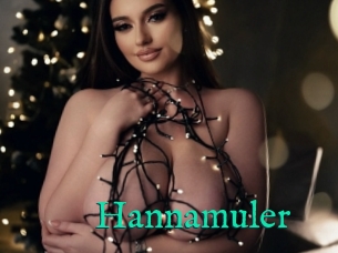 Hannamuler