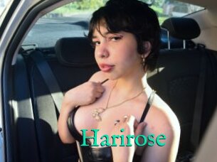 Harirose