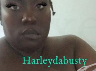 Harleydabusty