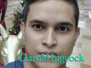 Harold_bigcock