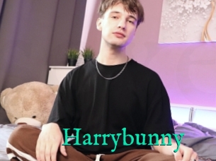 Harrybunny