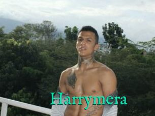 Harrymera