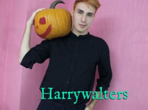 Harrywalters