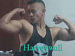 Harveywull