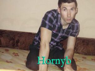 Hornyb