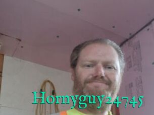 Hornyguy24745